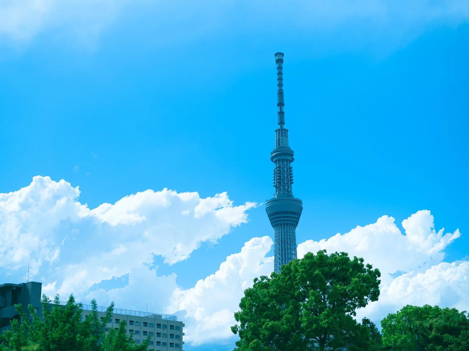 夏休み・お盆に行きたい謎解き・脱出ゲーム特集【2026年版】