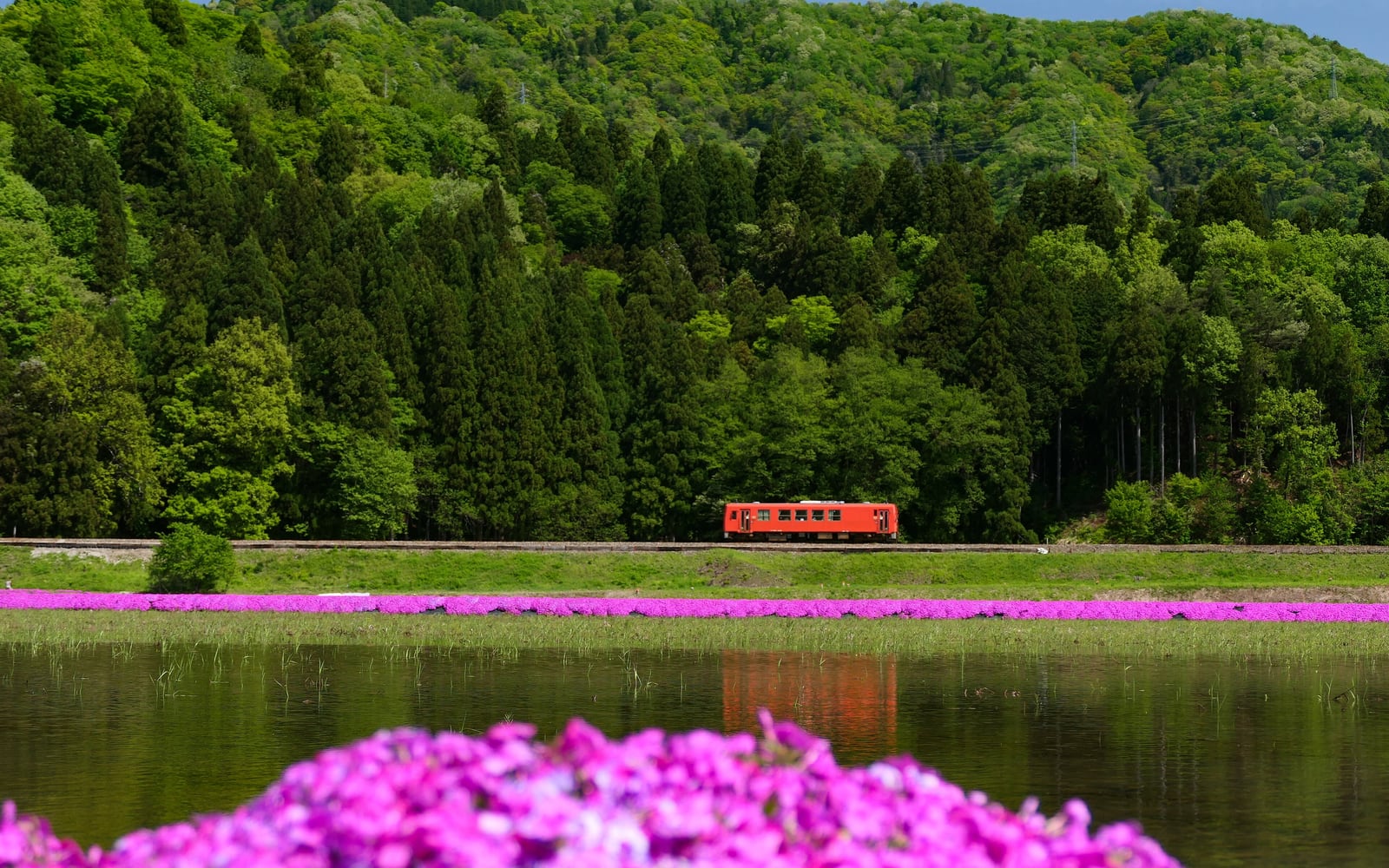 鉄道・電車謎解き完全ガイド｜路線別おすすめイベント